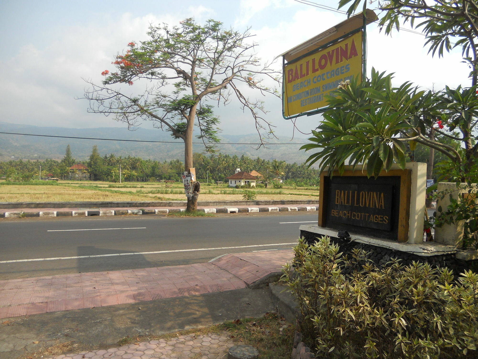 Bali Lovina Beach Cottages Buleleng  Екстер'єр фото