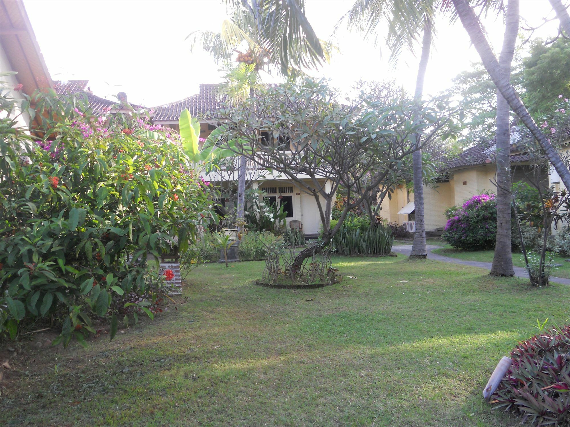 Bali Lovina Beach Cottages Buleleng  Екстер'єр фото