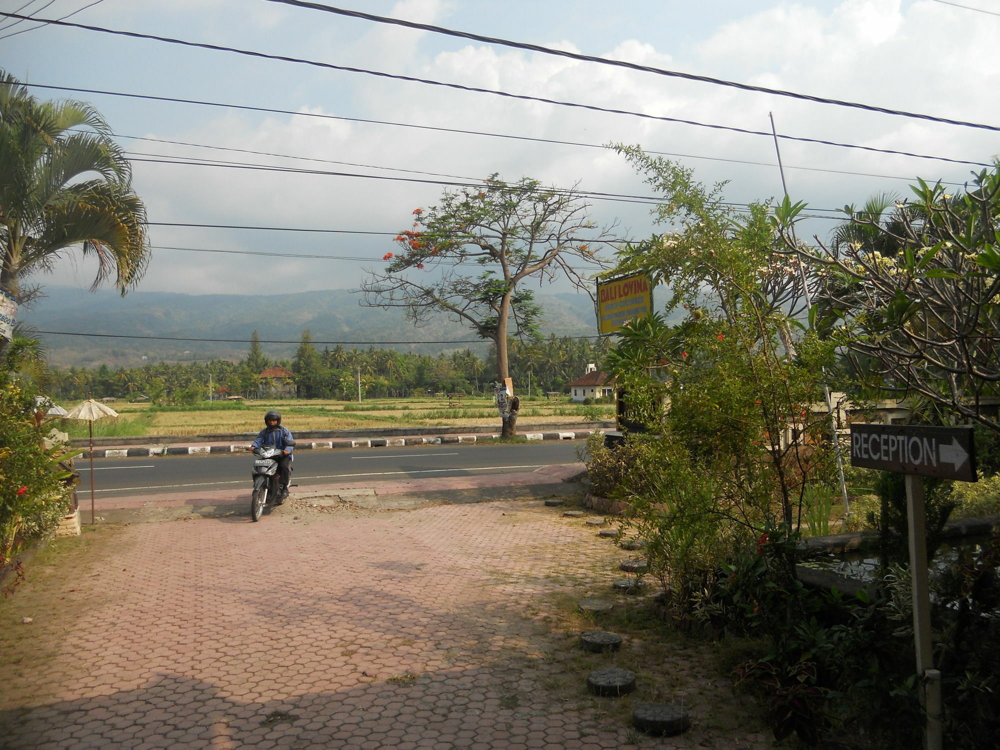 Bali Lovina Beach Cottages Buleleng  Екстер'єр фото