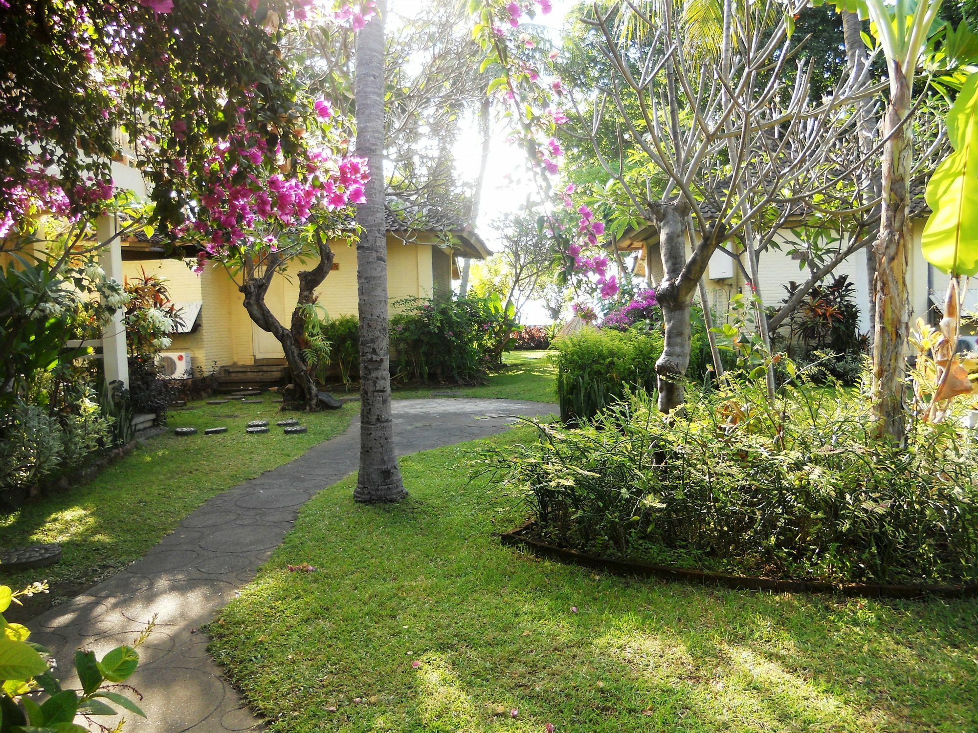 Bali Lovina Beach Cottages Buleleng  Екстер'єр фото